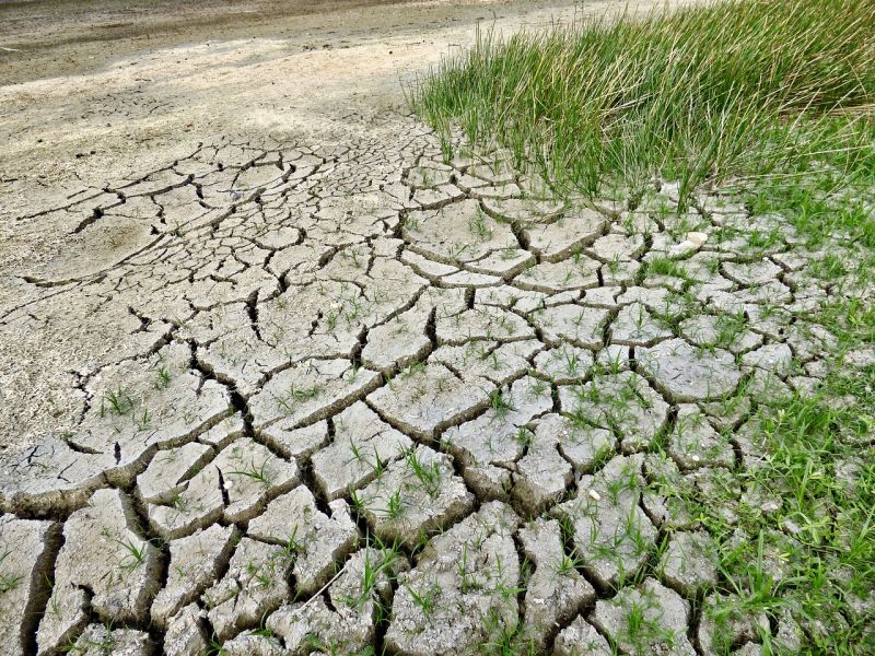 climate-change-2241061_1280