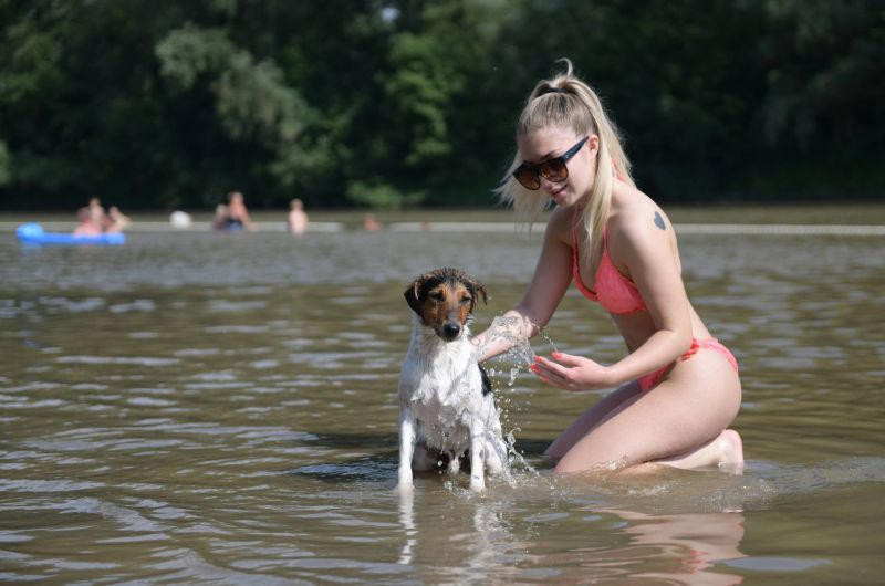 tisza-tó-mti-balázs attila