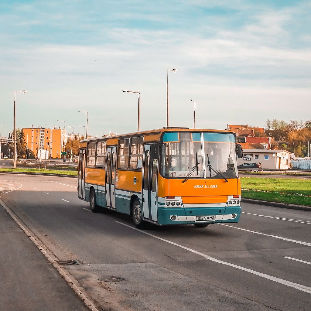 43037472832_c7ee38864b_b