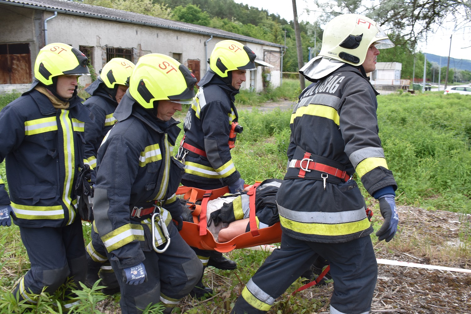 629719b6cac418-69529102