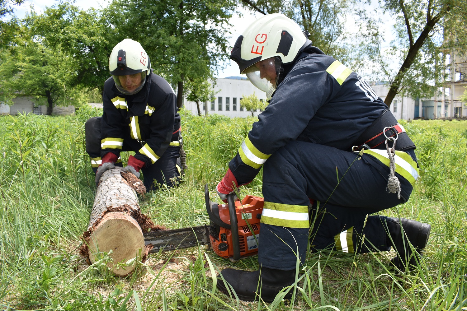 629719ba1c9953-48782744