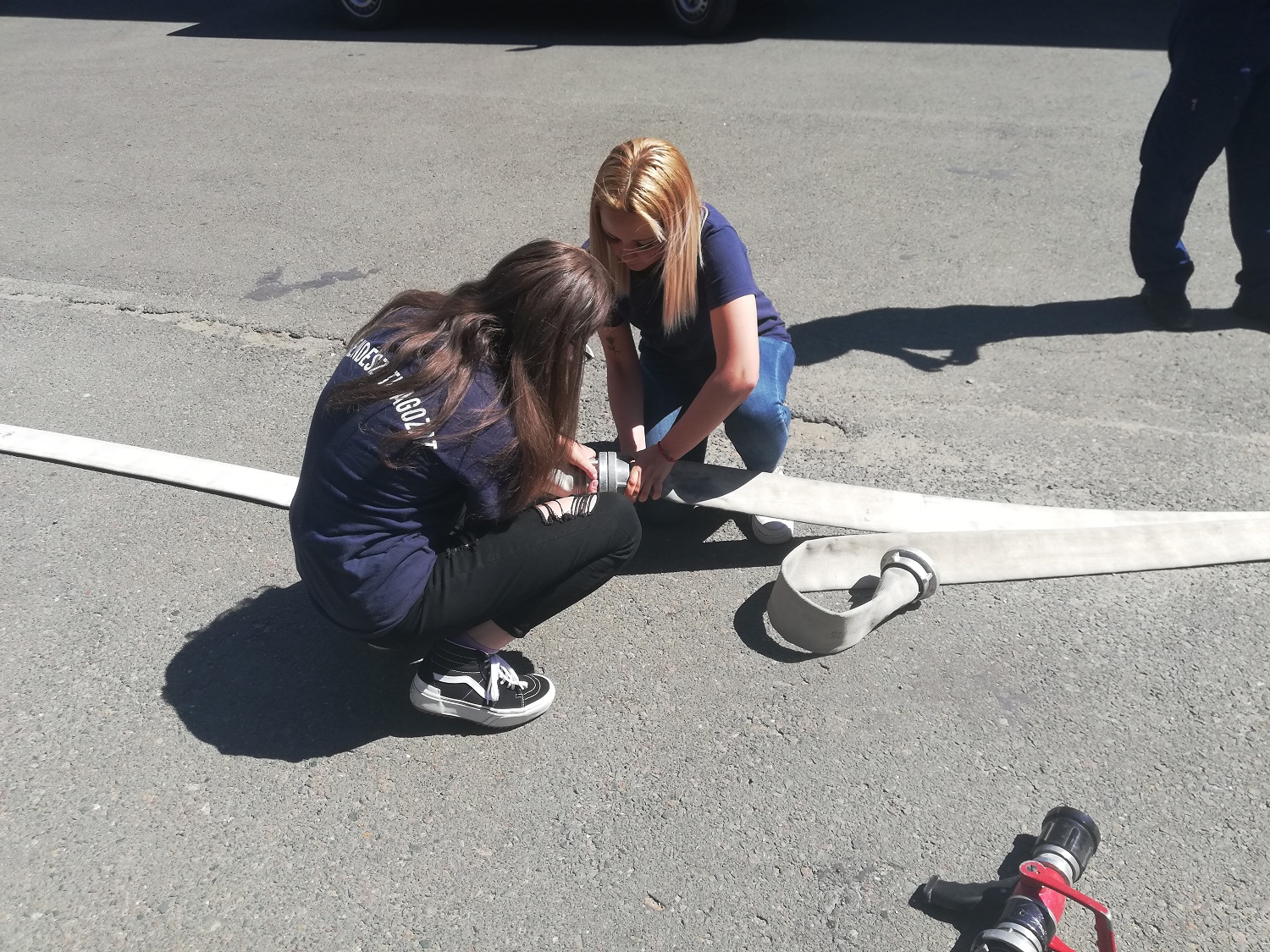 62bc563ae28875-95176608