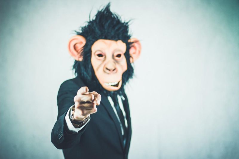 ape-2710657_1280