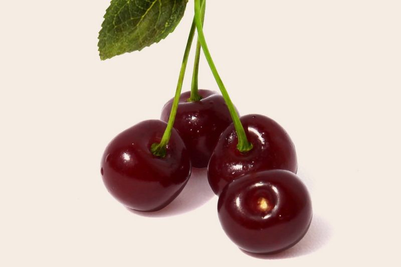sour-cherry-2409369_1280