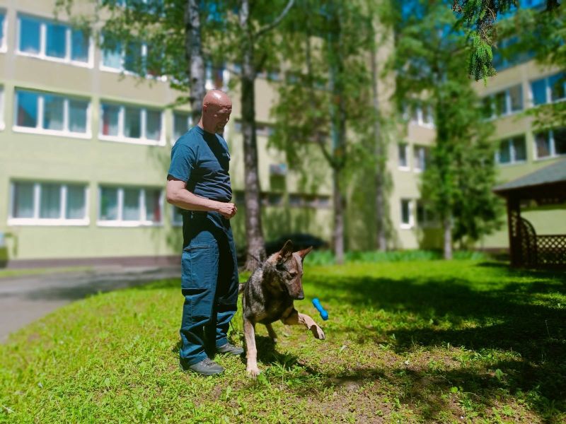 danikutya1