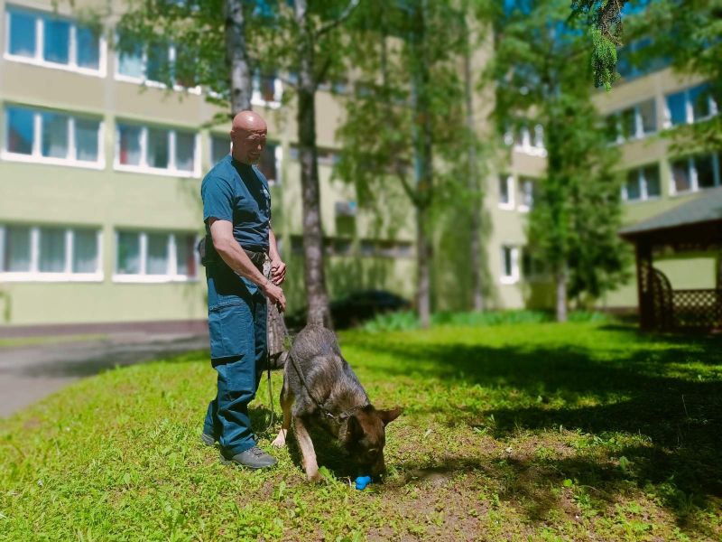 danikutya2