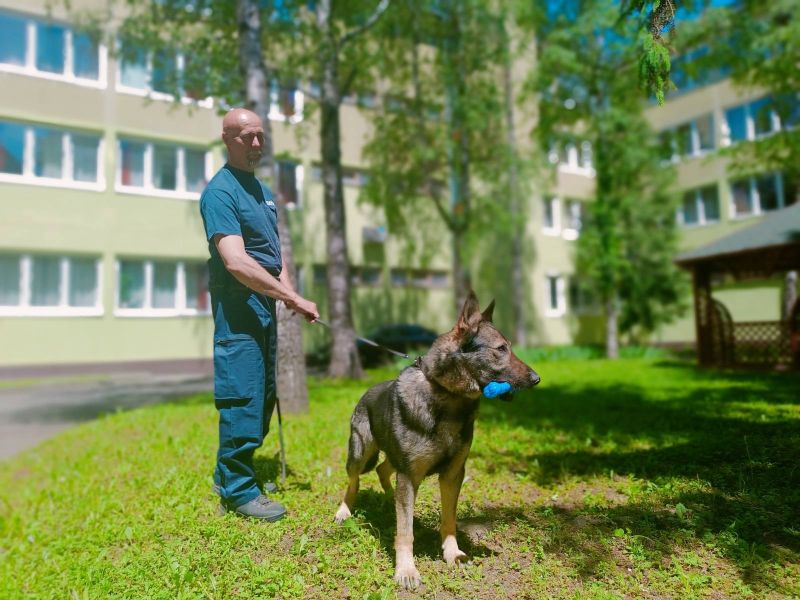 danikutya3