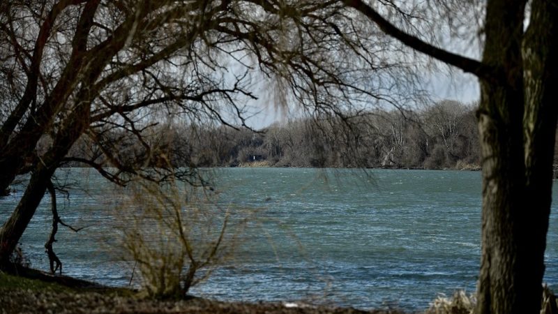 tisza mti