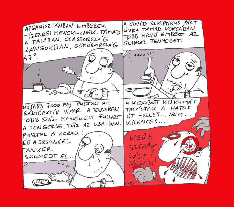 kutyi